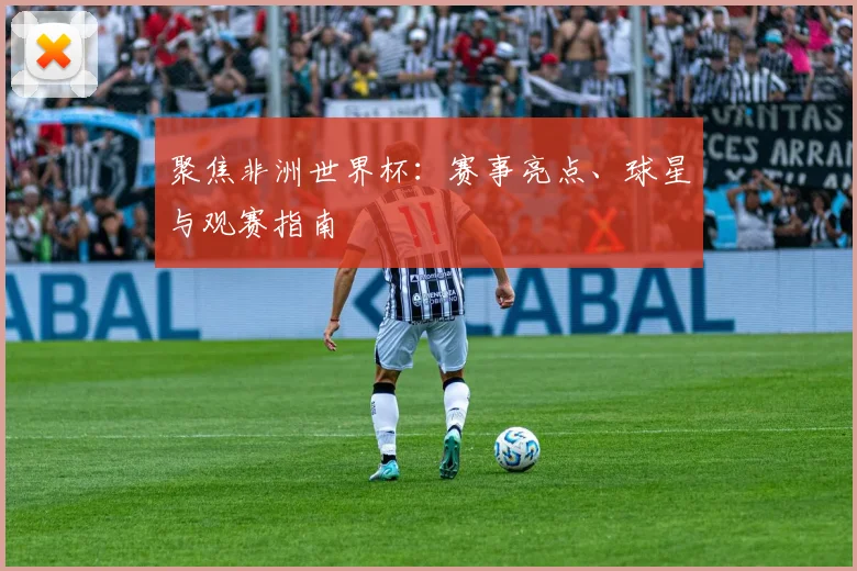 聚焦非洲世界杯：赛事亮点、球星与观赛指南